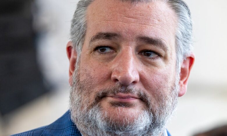 Ted Cruz Says Gas Prices Won’t Matter Midterms