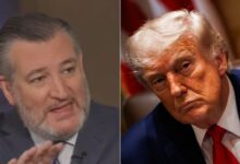 Ted Cruz Praise for Iran War Weeks After Attacks