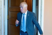 Senate Republicans Reject Moves Against Trump “Slush Fund”