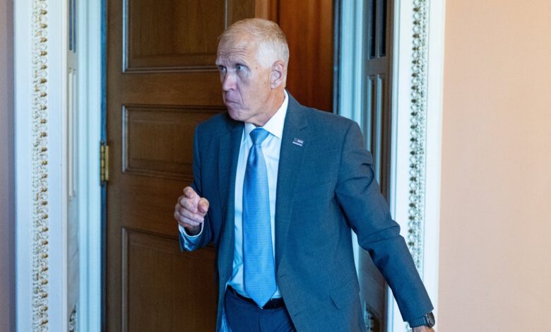 Senate Republicans Reject Moves Against Trump “Slush Fund”