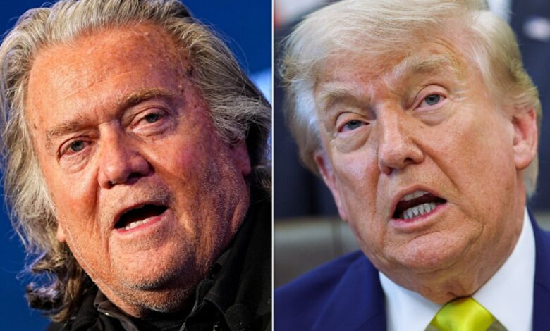 Steve Bannon Warns GOP Could Lose Senate in 2026