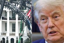 Celebrities skip Trump’s White House UFC card on June 14