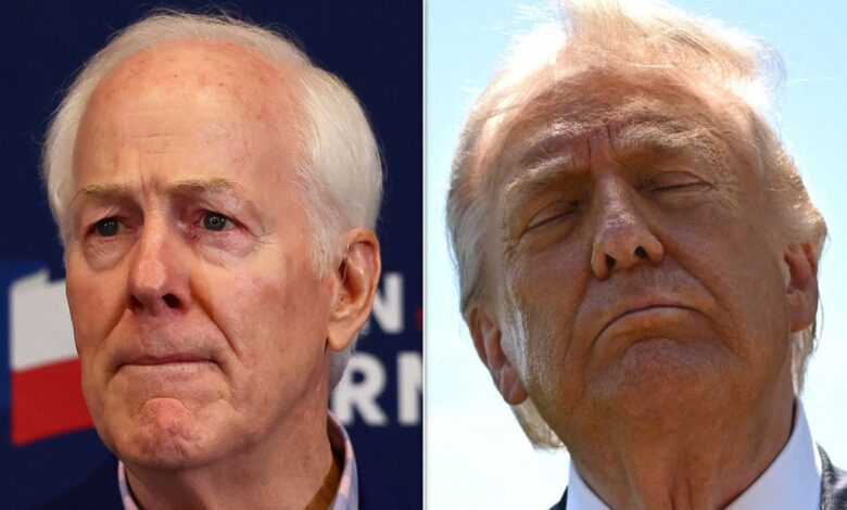 Cornyn warns Trump faces brutal midterm stretch Cornyn warns Trump faces brutal midterm stretch