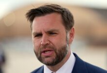 JD Vance Calls “Childless Cat Ladies” Comment Boneheaded