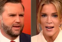 JD Vance Tells Megyn Kelly Critics Spread “Iranian Propaganda”