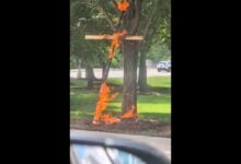 Merlin Lu Charged After Burning Cross in Chicago Park