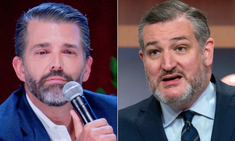 Trump Jr. Attacks Cruz Over Iran Deal Cash Claim Trump Jr. Attacks Cruz Over Iran Deal Cash Claim