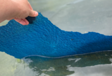 Trump’s M Reflecting Pool Paint Peels Off After Glow Fizzles