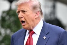 Trump Blames Vandals as Reflecting Pool Cleanup Fails