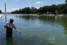 Trump Says Vandals Caused Reflecting Pool Repairs