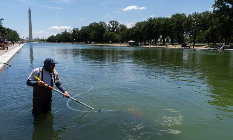 Trump Says Vandals Caused Reflecting Pool Repairs
