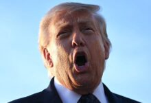 Trump calls a mystery woman his “great daughter”