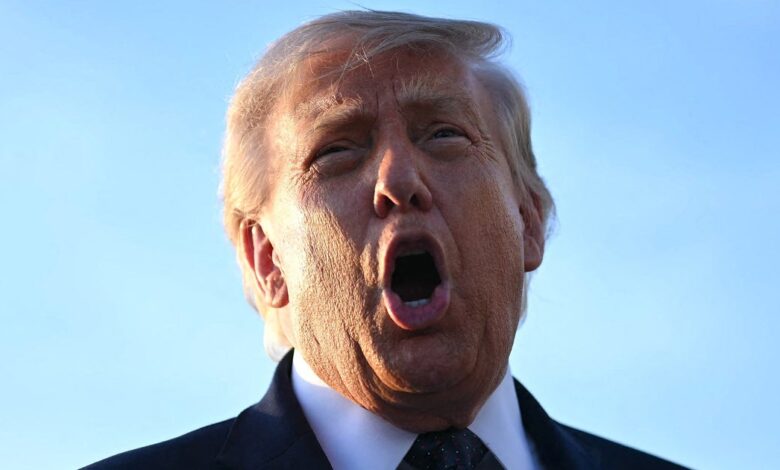 Trump calls a mystery woman his “great daughter”