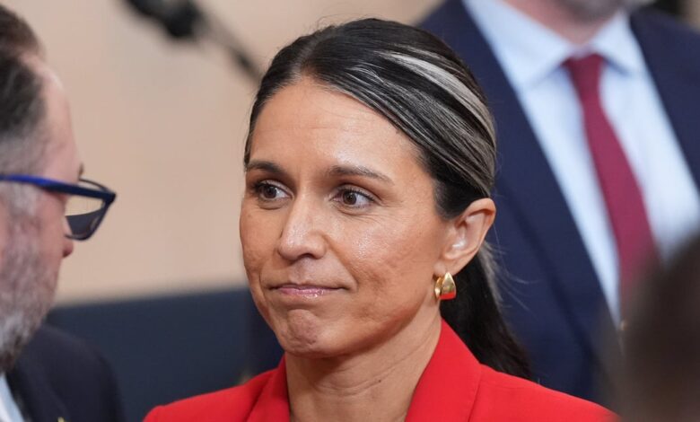 Investigation says Gabbard closely aligned with SIF
