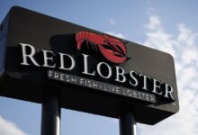 Trump Appointee Ties Greenland Takeover to Red Lobster