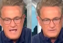 Joe Scarborough Blames Netanyahu for New York Results