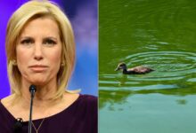 Ingraham calls vandalism Democrats’ fault over Reflecting Pool