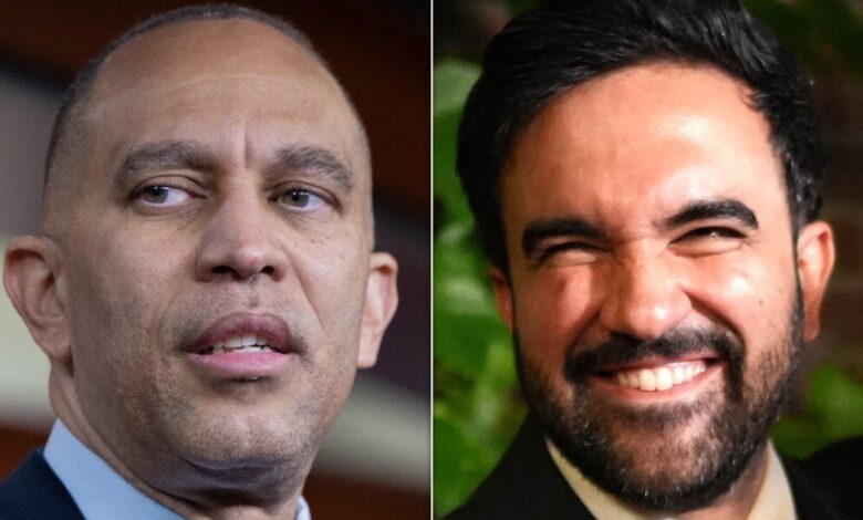 Jeffries warns Mamdani: primaries create tensions