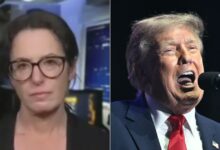 Haberman Warns Trump May Not Expect Consequences