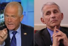 Navarro erupts at Fauci, demands accountability over COVID