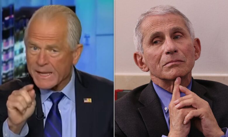 Navarro erupts at Fauci, demands accountability over COVID