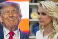 Trump’s devoted aide Natalie Harp fuels his reality