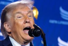 Trump Blames Vandals for Reflecting Pool Algae