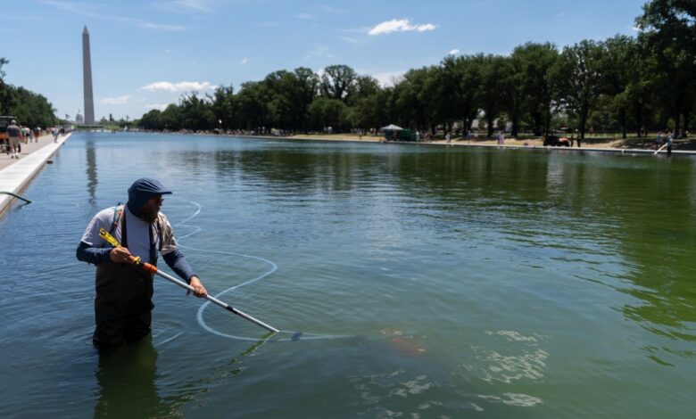 Trump struggles to erase algae from Reflecting Pool Trump struggles to erase algae from Reflecting Pool
