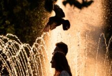 France reports 1,000 more deaths amid record heat