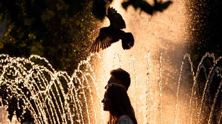 France reports 1,000 more deaths amid record heat