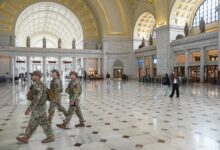 D.C. settles with protester detained after Darth Vader song