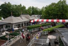 Renegade favored again as Belmont post time nears