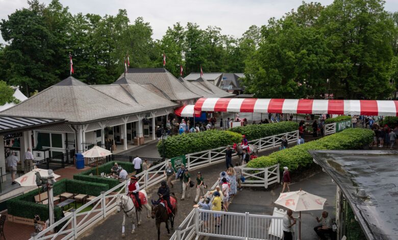Renegade favored again as Belmont post time nears
