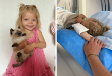 Two-year-old’s belly pain becomes germ cell cancer