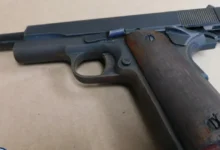 Brockton teen arrested after Hyde Park gunfire