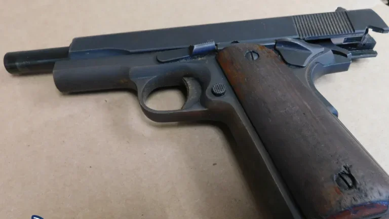 Brockton teen arrested after Hyde Park gunfire Brockton teen arrested after Hyde Park gunfire