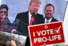 HHS grant rules label embryos as “children”