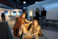 Historian Patrick Wyman Links Prehistory to Today’s Upheaval