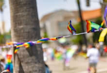 GOP states declare “Nuclear Family Month” during Pride