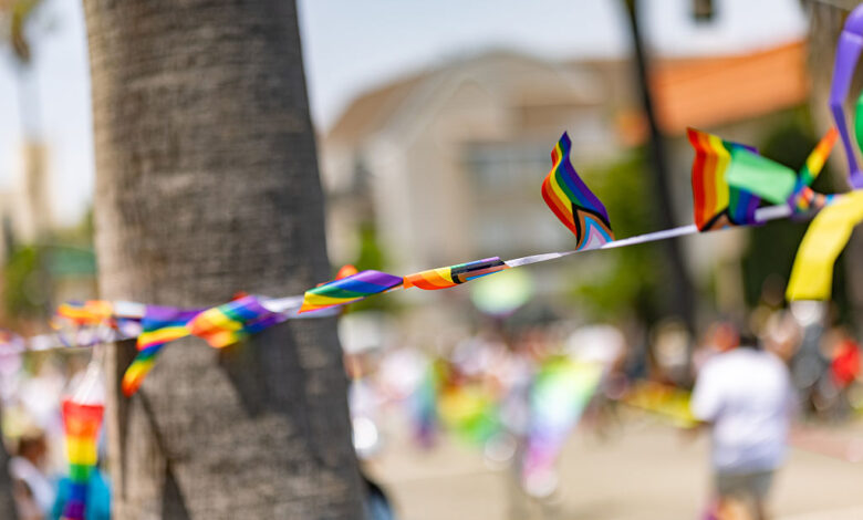 GOP states declare “Nuclear Family Month” during Pride
