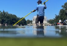 Newly renovated Reflecting Pool already battling algae bloom