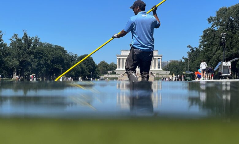 Newly renovated Reflecting Pool already battling algae bloom