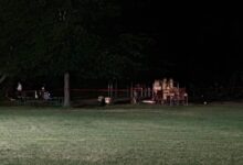 Suspect arrested after fatal stabbing at Wellesley park