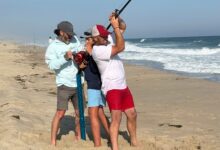 Fisherman removes hook from great white in Nantucket
