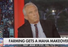 Watters presses RFK Jr. on raccoons—“leave them alone”