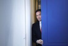 Guest hosts replace Leavitt, Cabinet faces press