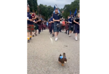 Duck Dawn leads Scotland march in Providence