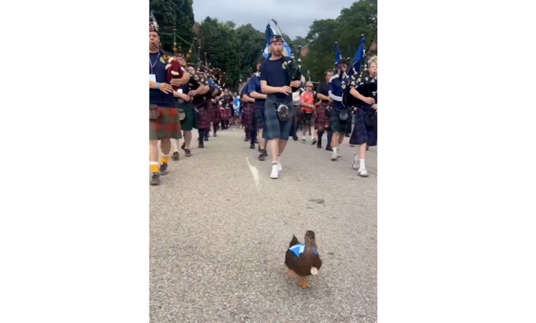 Duck Dawn leads Scotland march in Providence Duck Dawn leads Scotland march in Providence