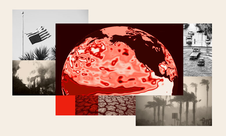 Super El Niño threatens US grocery prices this summer Super El Niño threatens US grocery prices this summer
