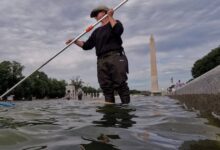 Trump blames vandals as algae returns on Reflecting Pool